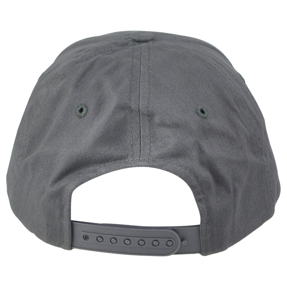 NCAA Zephyr Plymouth State Panthers PSU Snapback Curved Bill Adjustable Hat Cap