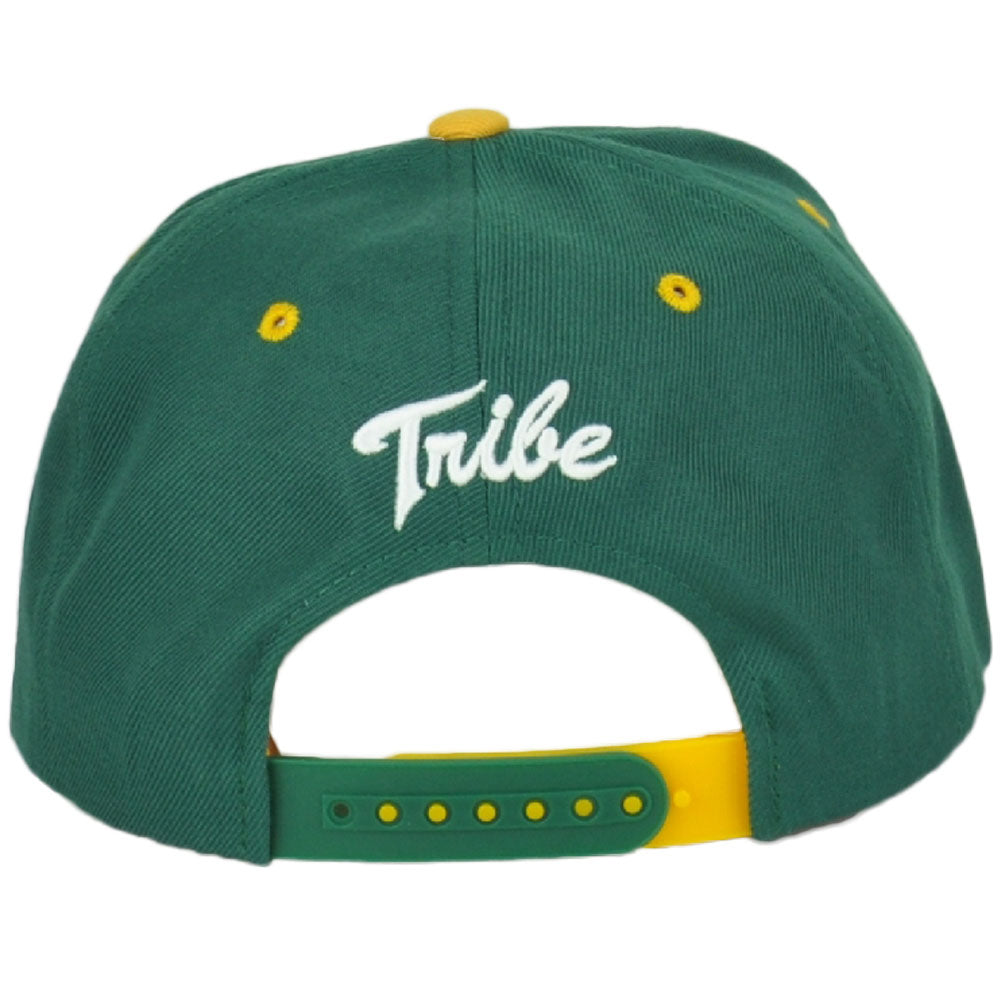 NCAA Zephyr William & Mary Tribe Structured Snapback Adjustable Flat Bill Hat Ca