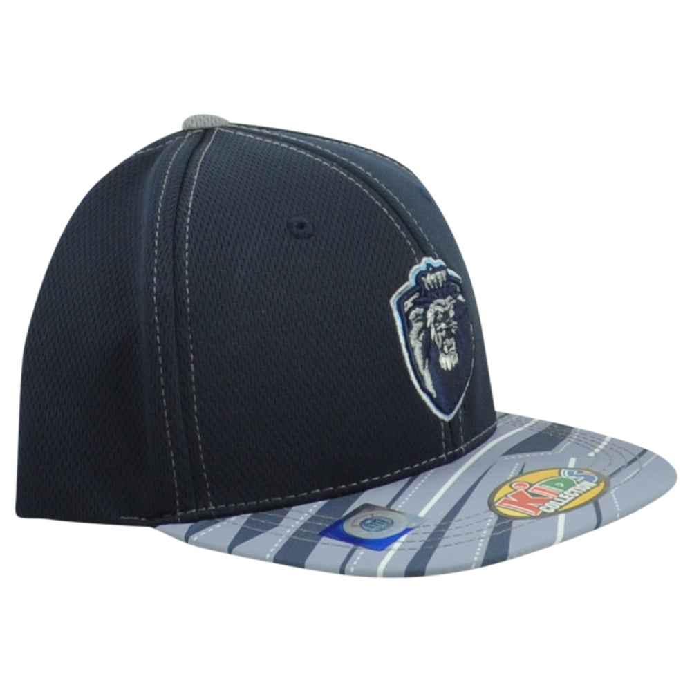 NCAA Captivating Columbia Lions Snapback Two Colors Flat Bill Youth Kids Hat Cap