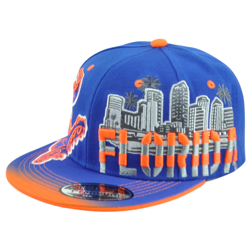 Florida Gators Theme Football State Flat Bill Adjustable Adults Stripes Hat Cap
