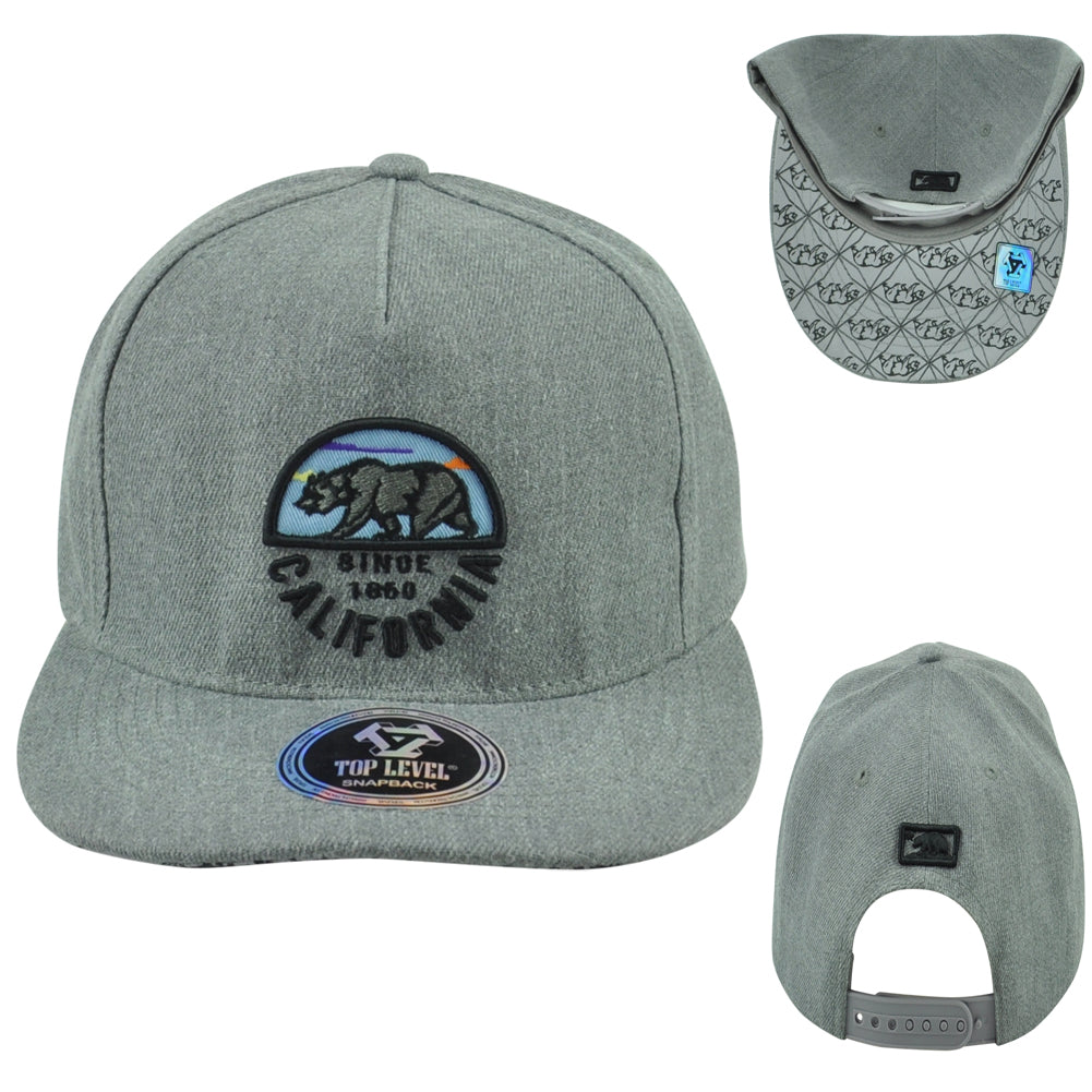 Top Level California Cali Bear Logo 1860 State Flat Bill Adults Snapback Hat Cap