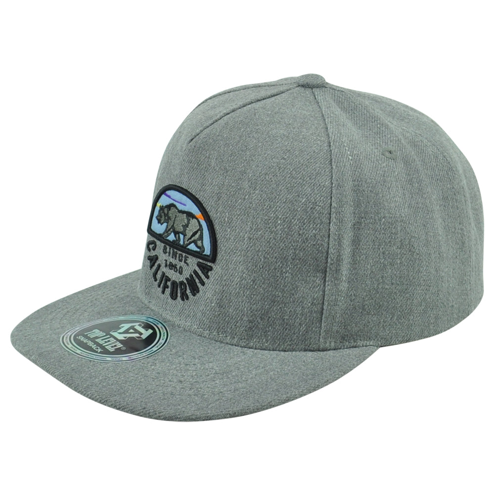 Top Level California Cali Bear Logo 1860 State Flat Bill Adults Snapback Hat Cap