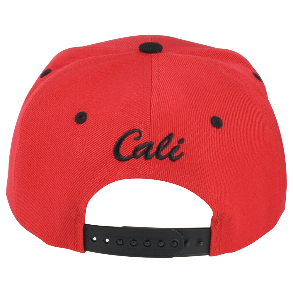 Cali Logo California State Republic 3D Snapback Two Tone Bear Flat Bill Hat Cap