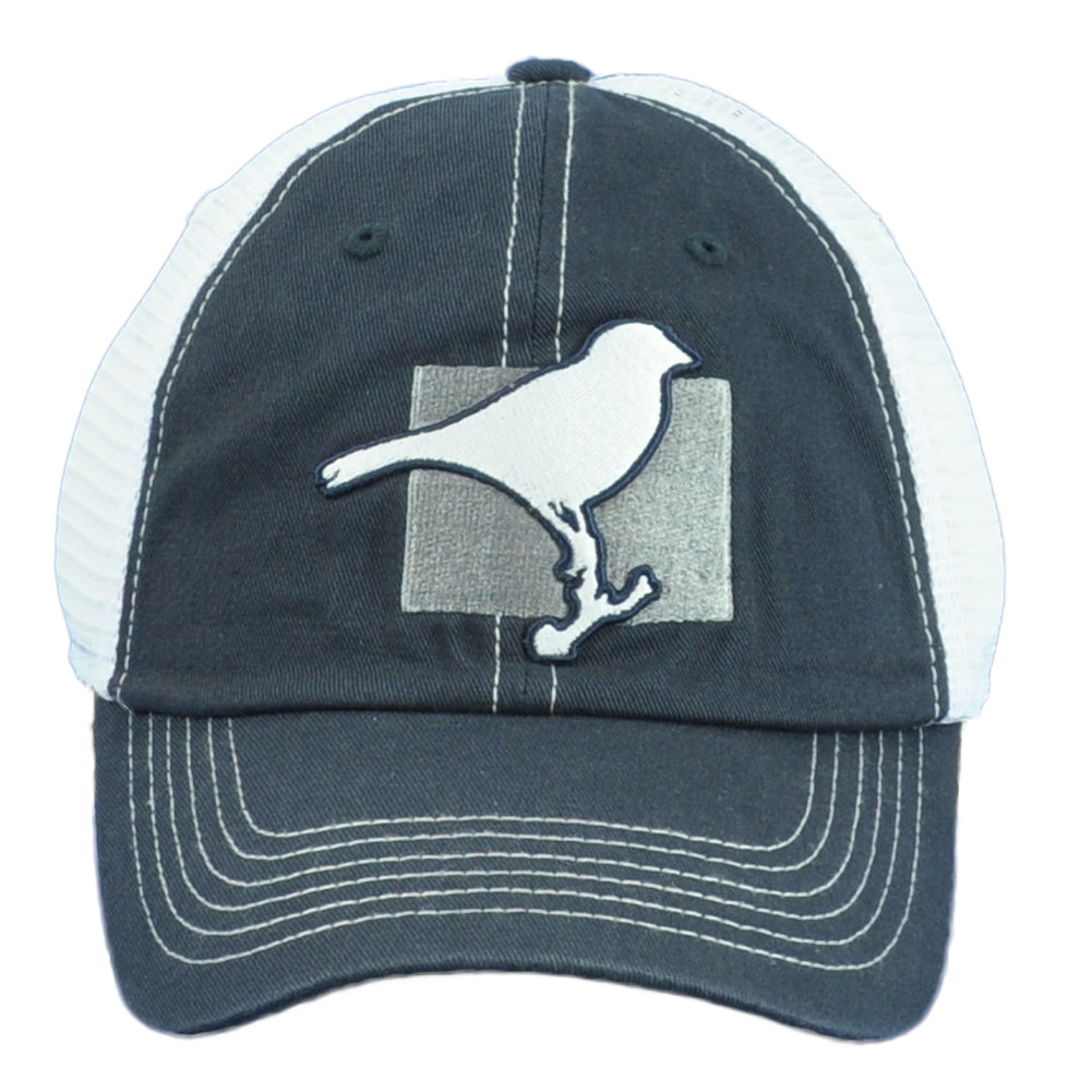 Captivating Colorado Centennial State Bird Trucker Mesh Snapback Adults Hat Cap