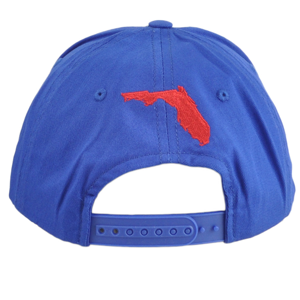 Captivating Florida The Sunshine State Map Tricolor Snapback Adults Hat Cap