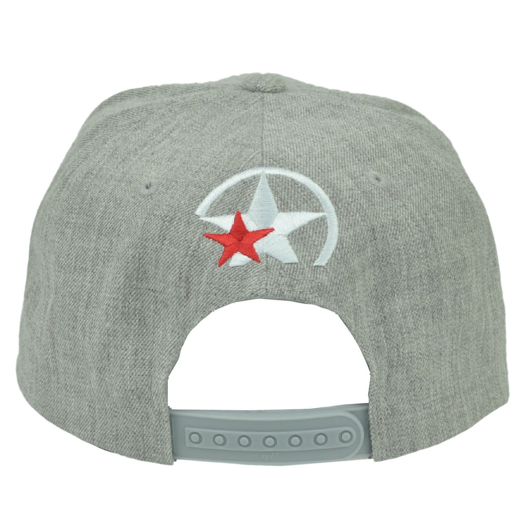 Power Star Branding Logo PBS Flat Bill Snapback Hat Cap Gray Headgear Sports