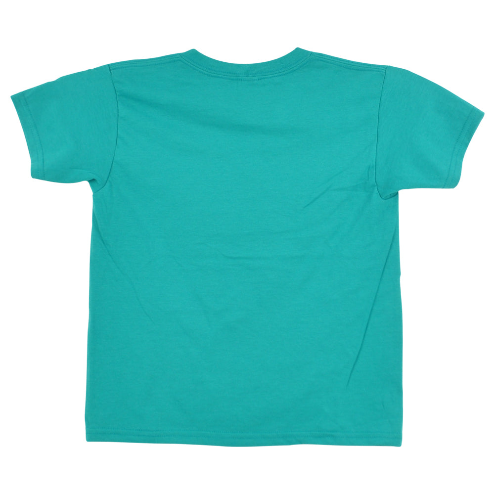 Miami Dolphins Football Phins up Teal Short Sleeve Youth Kids Tshirt Tee