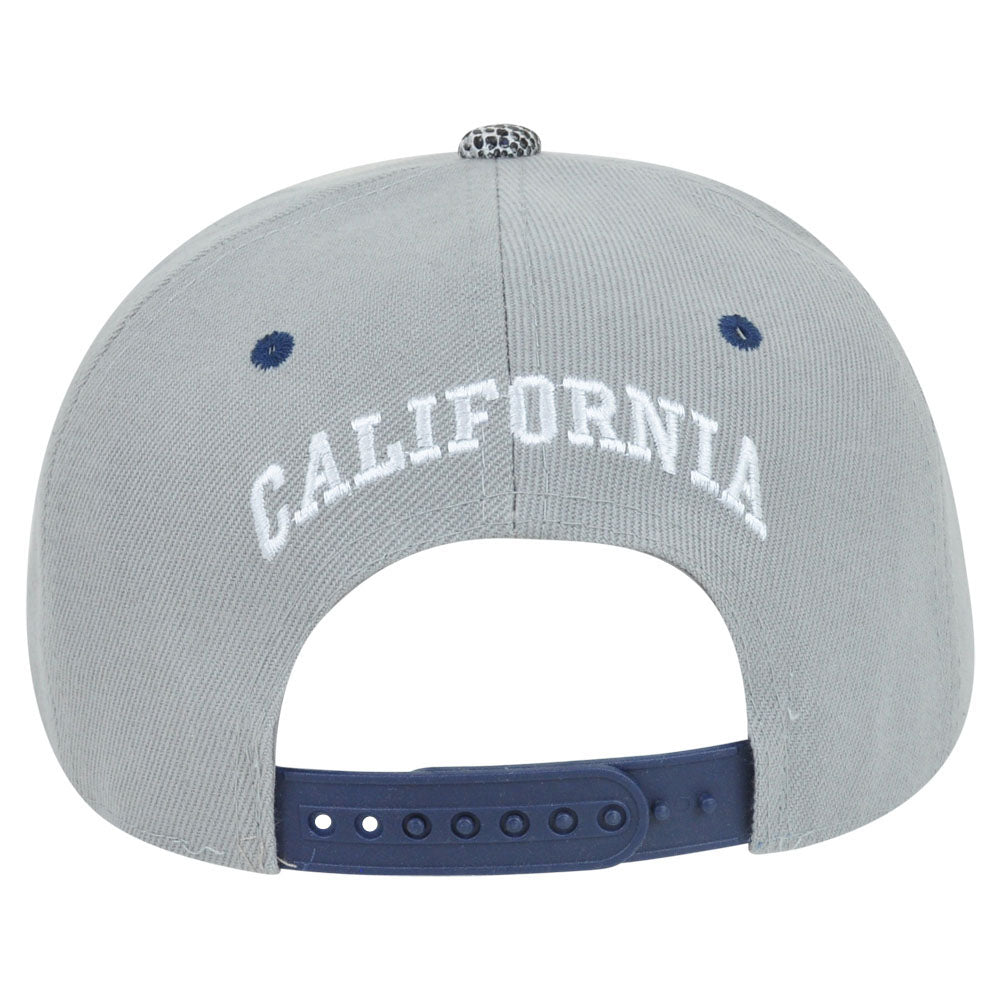 California Cali Dark Animal Snake Skin Faux Grey Blue Snapback Flat Bill Hat Cap