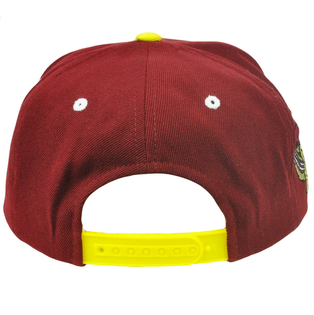 NCAA Minnesota Golden Gophers Zephyr Super Star 32/5 Snapback Flat Bill Hat Cap
